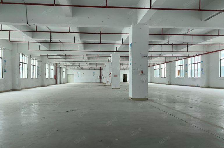 博罗石湾原房东5500平独栋标准厂房 价格9块