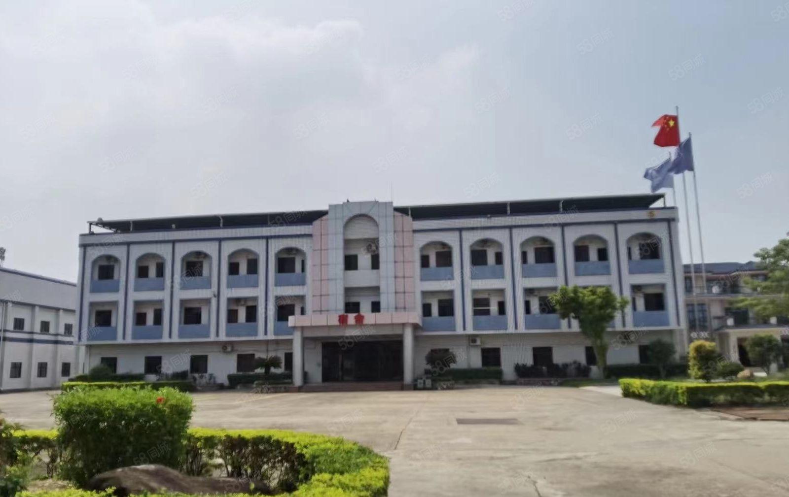 红本单一层钢结构独门独院厂房出租