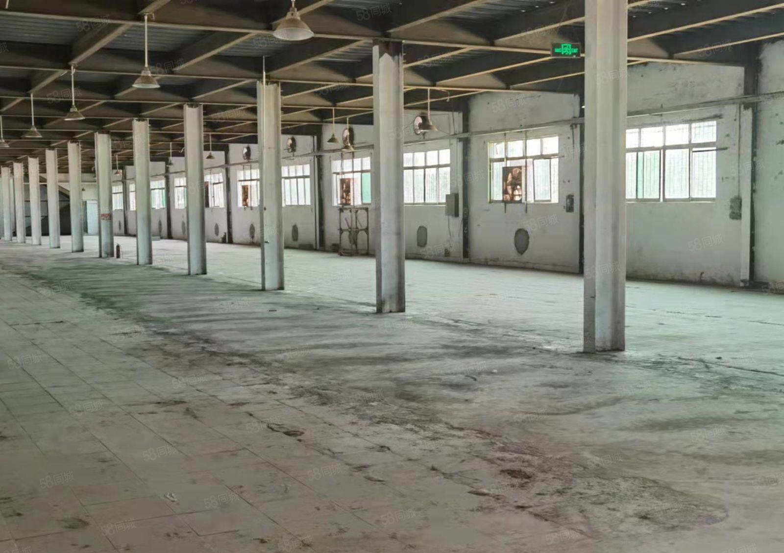 龙溪镇新出带航车独门独院单层钢构出租