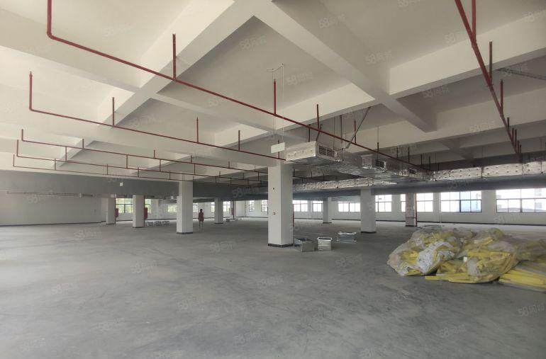 博罗龙溪镇全新原房东独院，水电自交，实际面积低价出租。