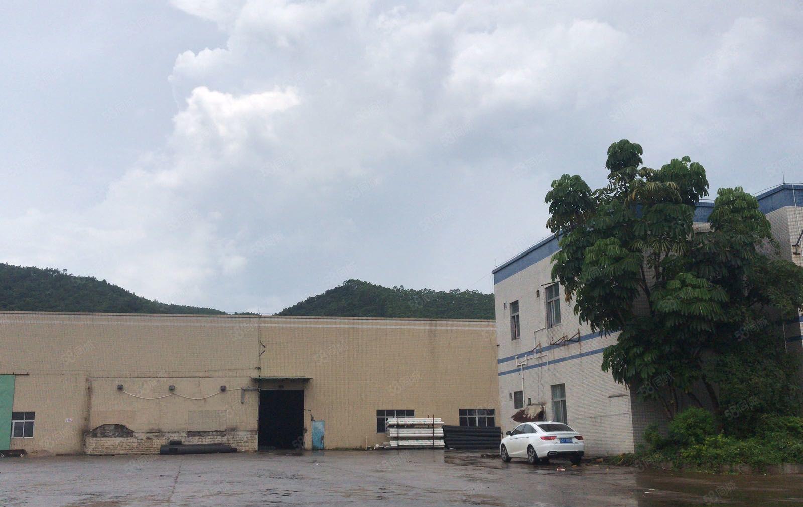 义和镇原房东单一层红本厂房出租