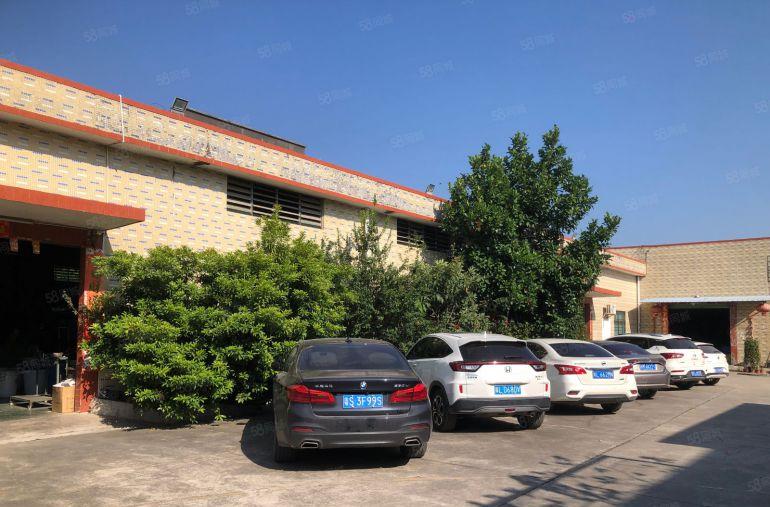 惠州石湾镇原房东独院单一层厂房500平方五金注塑行业可拎包入