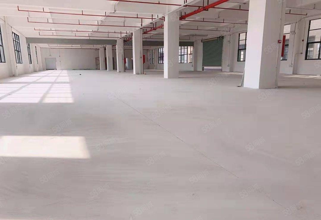 上市公司形象分租厂房 带电梯厂房  工业园 喷油可办环评