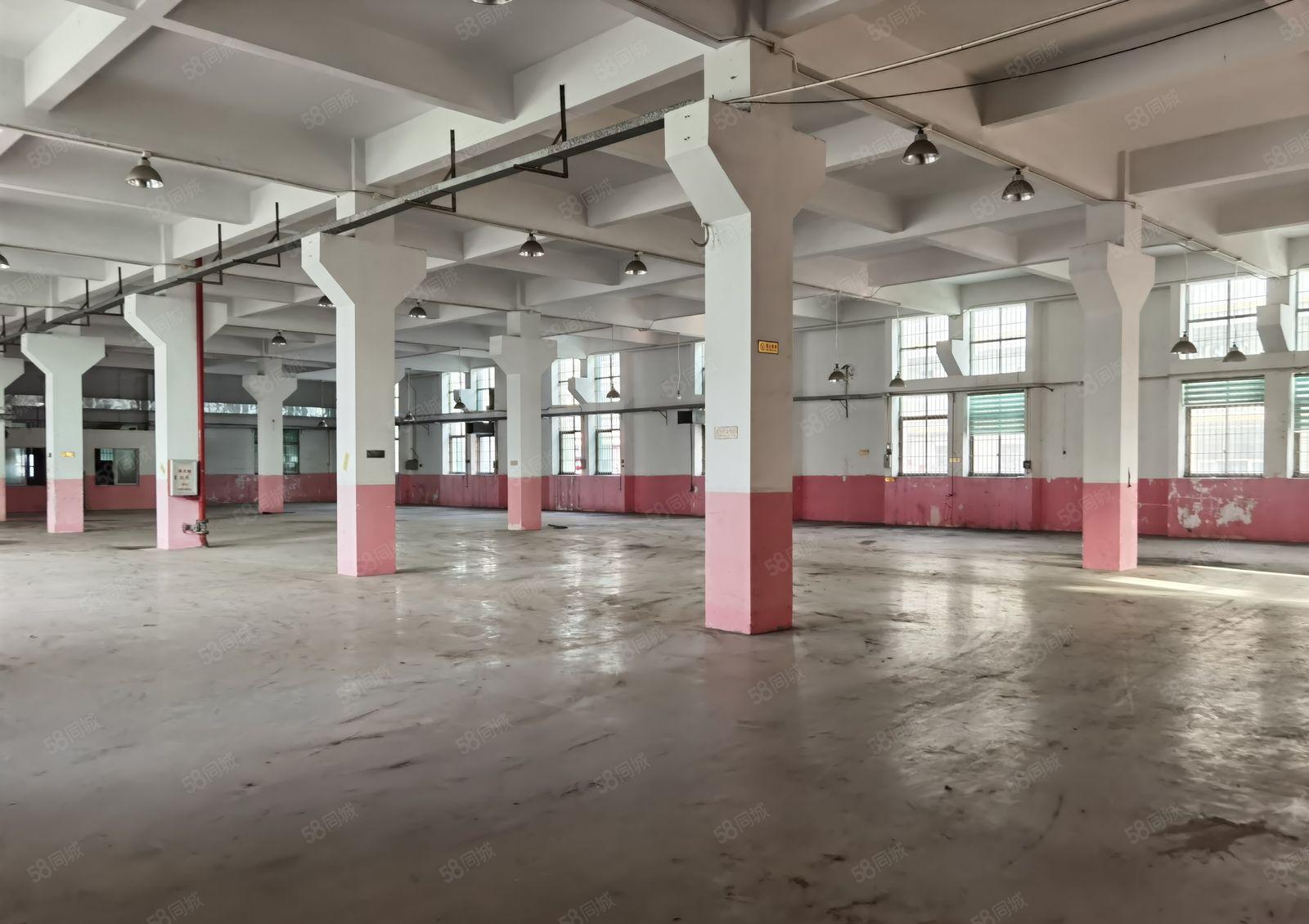 四角楼原房东厂房出租3000平方