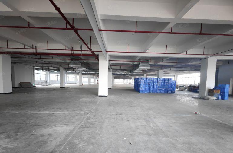 园洲工业区原房东自用厂房分租