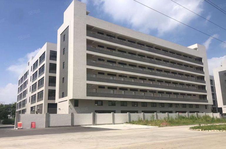 石湾科技园全新标准厂房出租独门独院带红本价格便宜