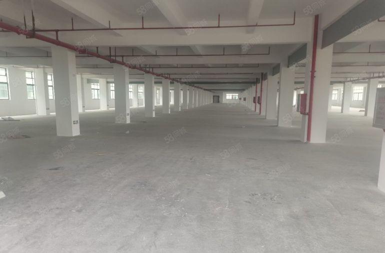 博罗县独门独院全新厂房仓库低价出租，交通便利，大小分租