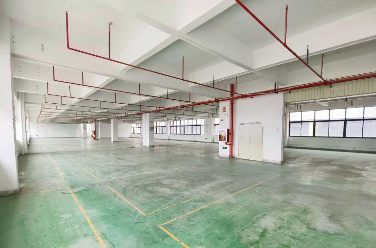 博罗园洲原房东50000平红本厂房大小分租