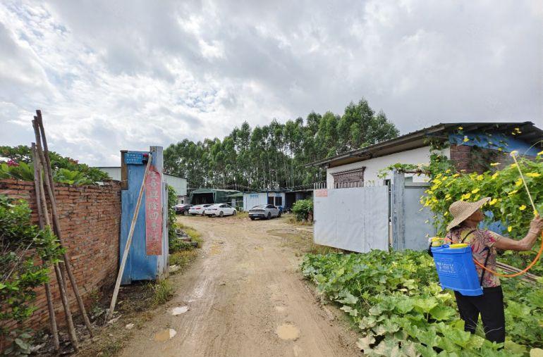 园洲镇原房东独院单一层1200平