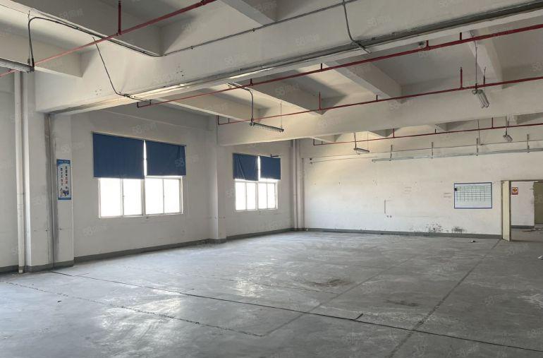 园洲新出高大上2000平标准厂房 精装办公室 可办环评大空地