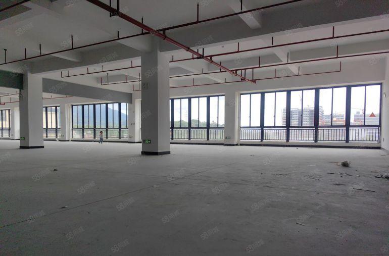 龙溪电镀基地边全新厂房 四面采光 前后租遮挡 门前有大空地