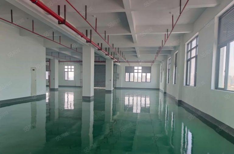 惠城区！原房东单价10元有红本~500平起可分组随时可看