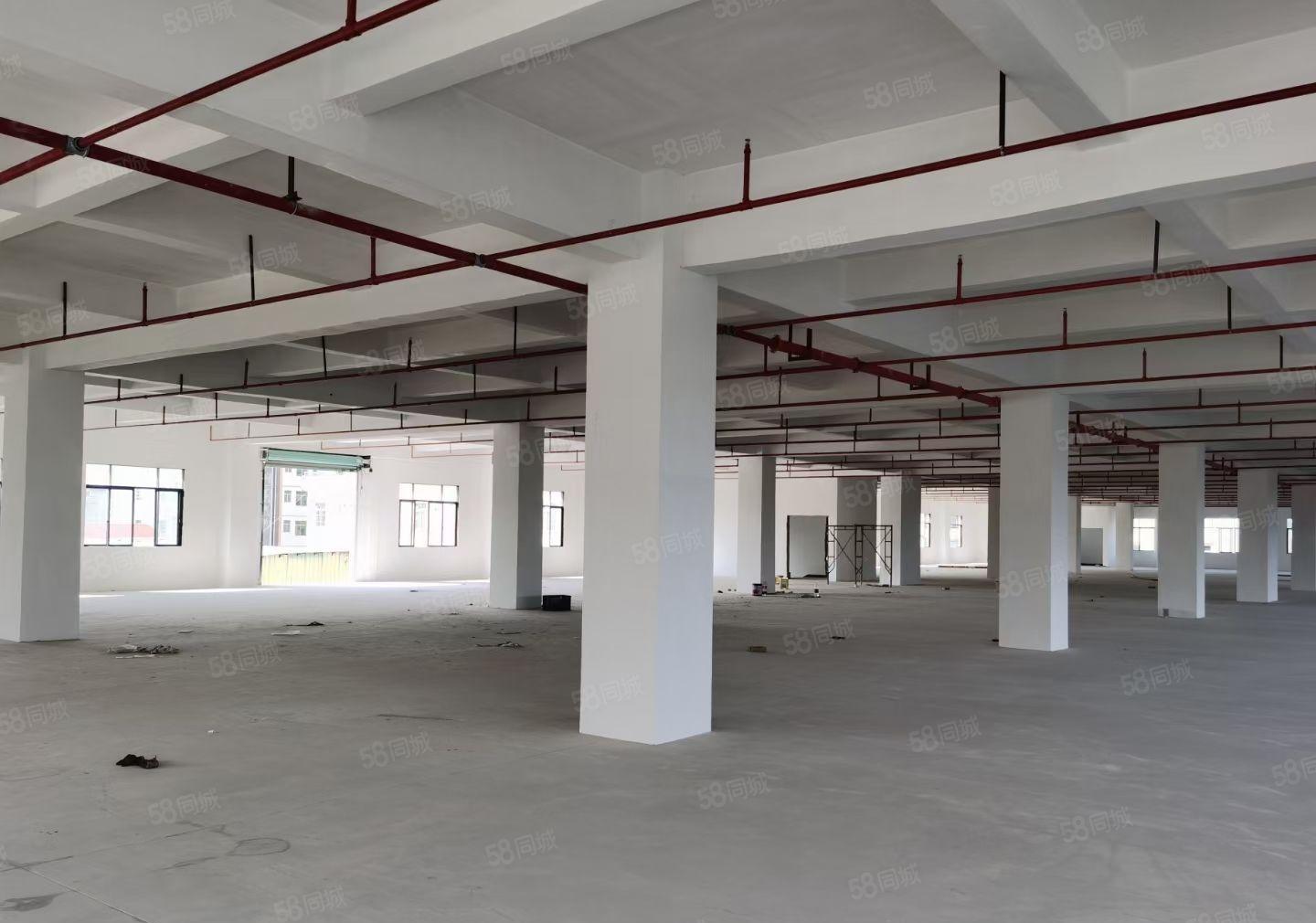 石湾镇全新标准厂房20,100平方（可分租）