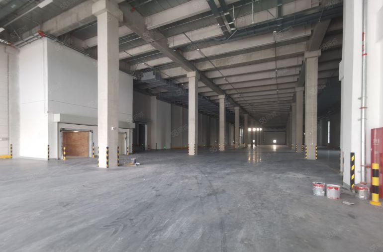 园洲镇新建厂房20000平带双边卸货平台12米高标物流仓出租