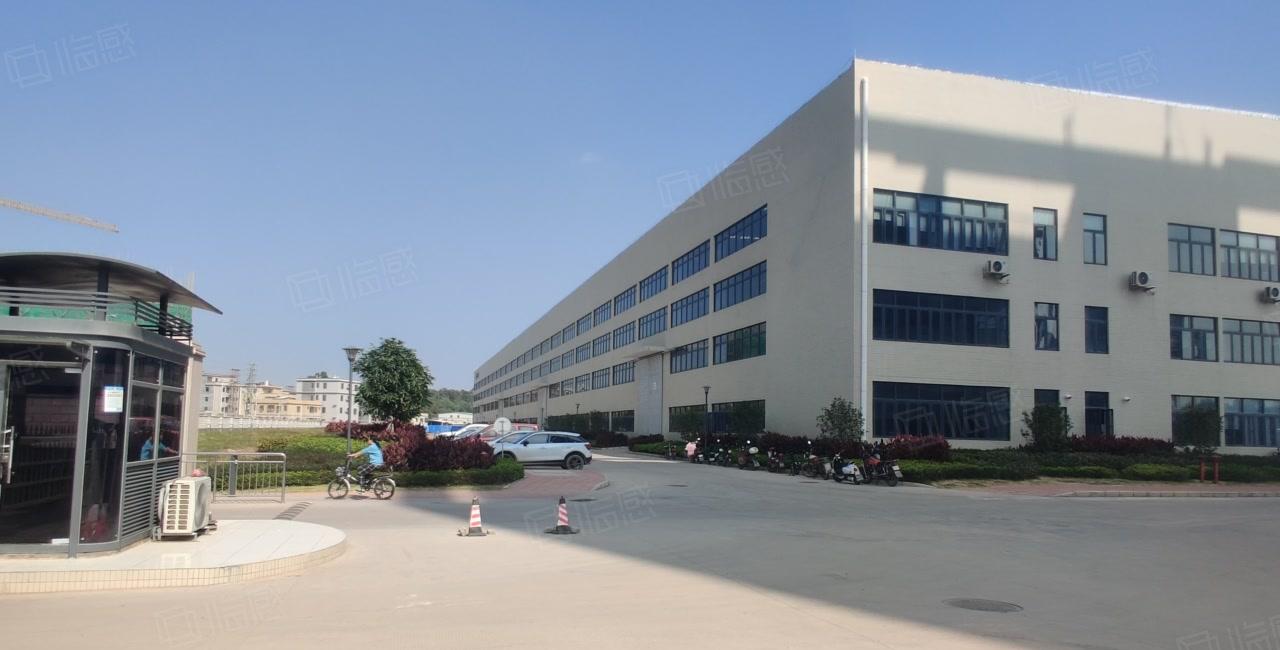 13元200平起租园洲石湾原房东无公摊16米高单一层一楼仓库