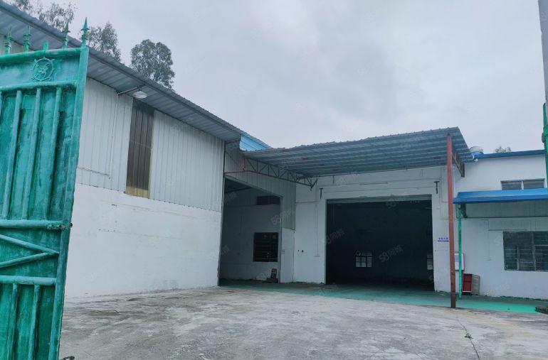 原房东低价出租园洲独门独户单层钢构1250平方证件齐全可分租