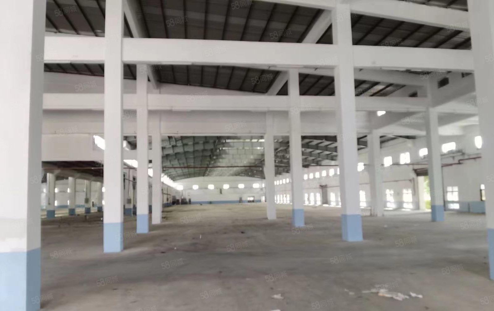 红本单一层钢结构独门独院厂房出租