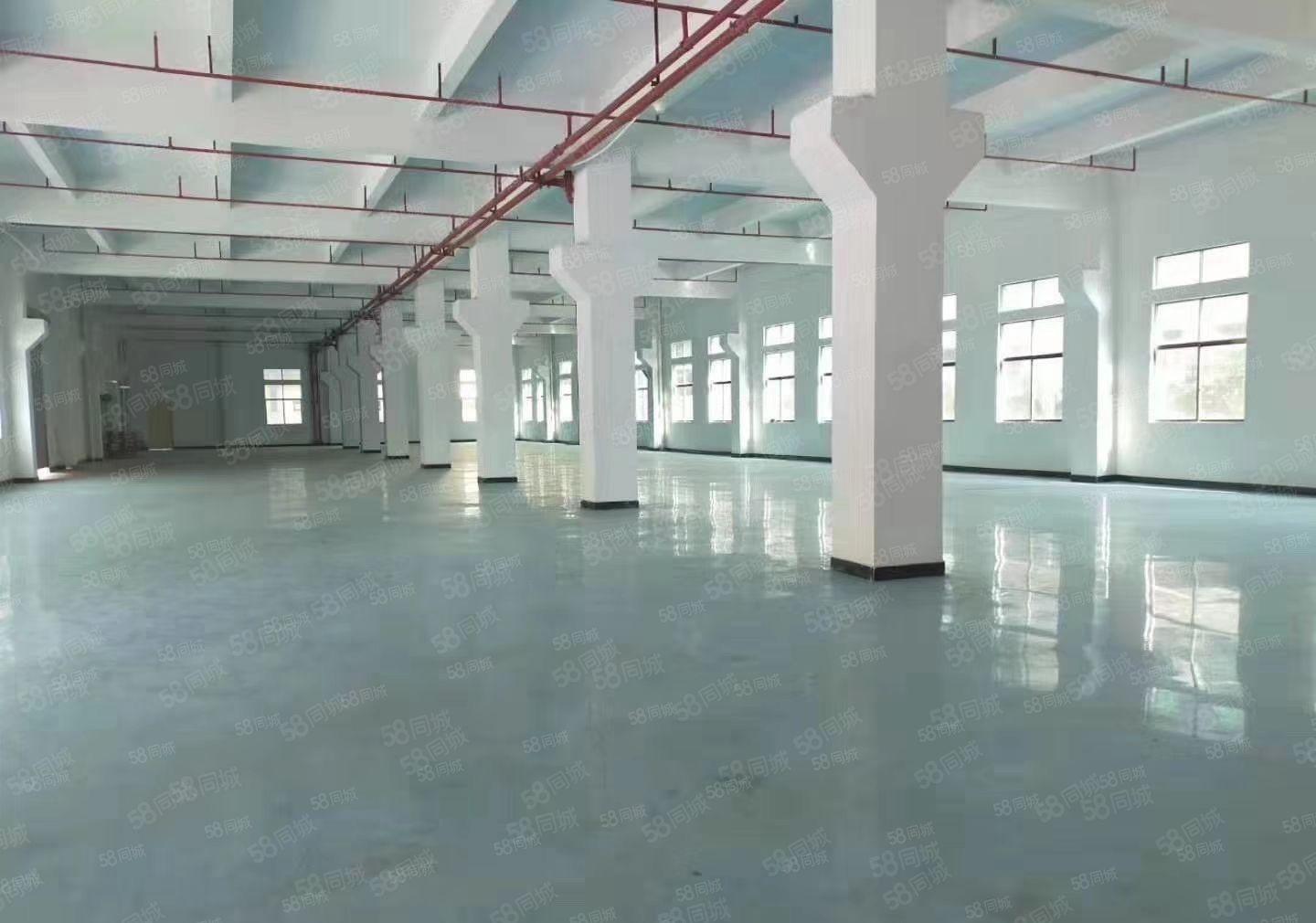 博罗石湾成熟工业区15块全新红本厂房