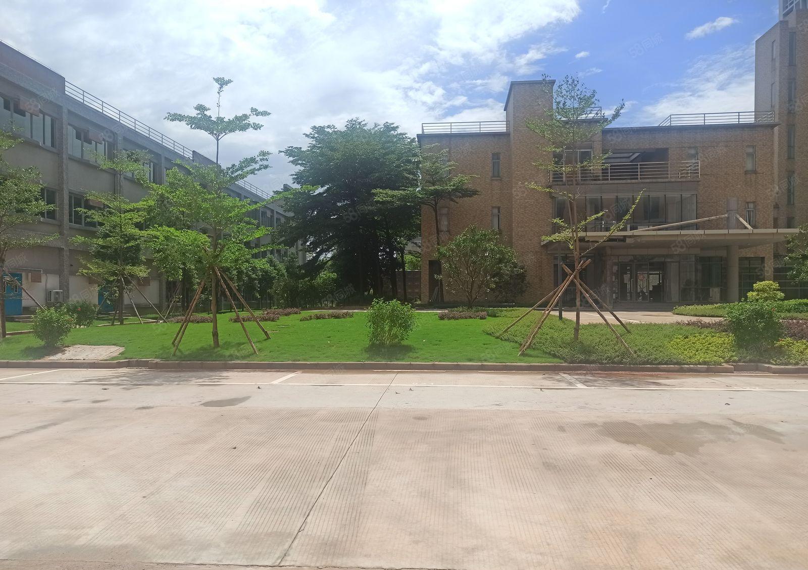 靓！博罗花园式厂房20万平方，可通天然气，上市公司