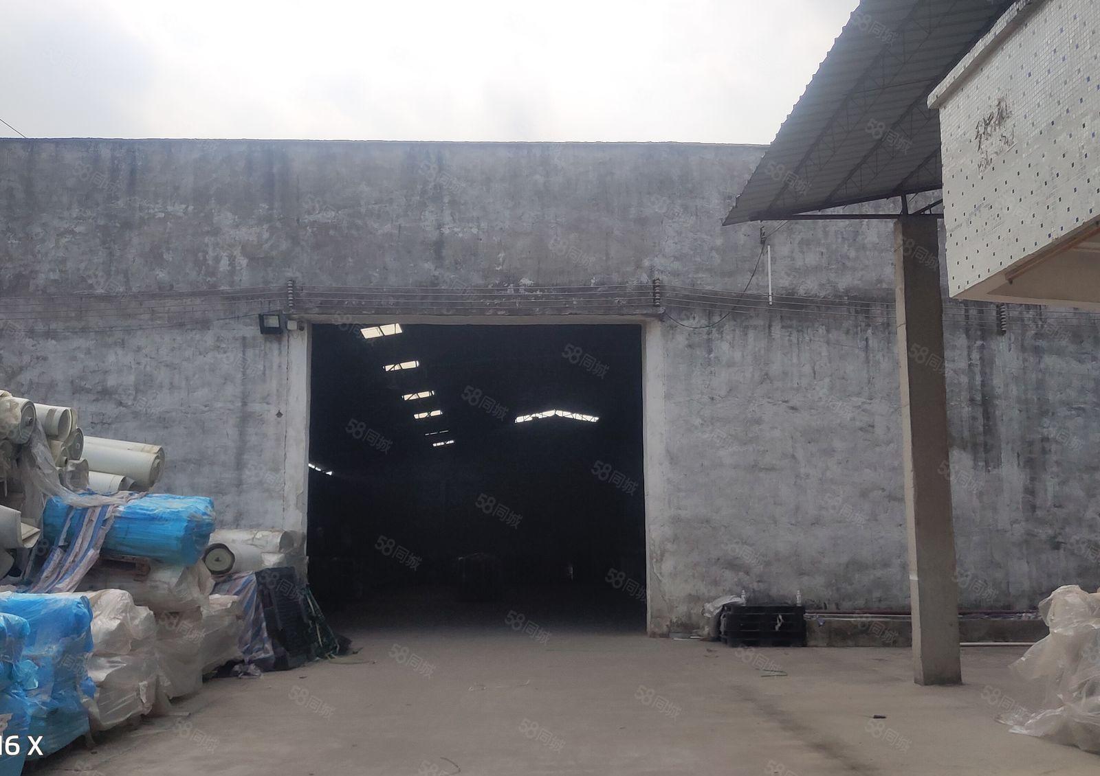 园洲镇原房东独院单一层2000厂房仓库出租出售转让