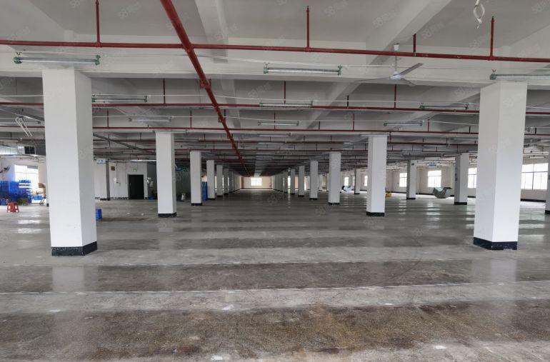 8.8博罗杨村原房东红本标准厂房2.9万平方500平方起租