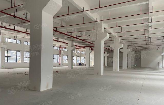 博罗龙溪全新原房东标准厂房出租可分租