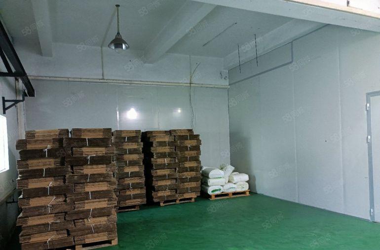 原房东实际面积低价出租标准厂房9000平方带现成装修注塑环评