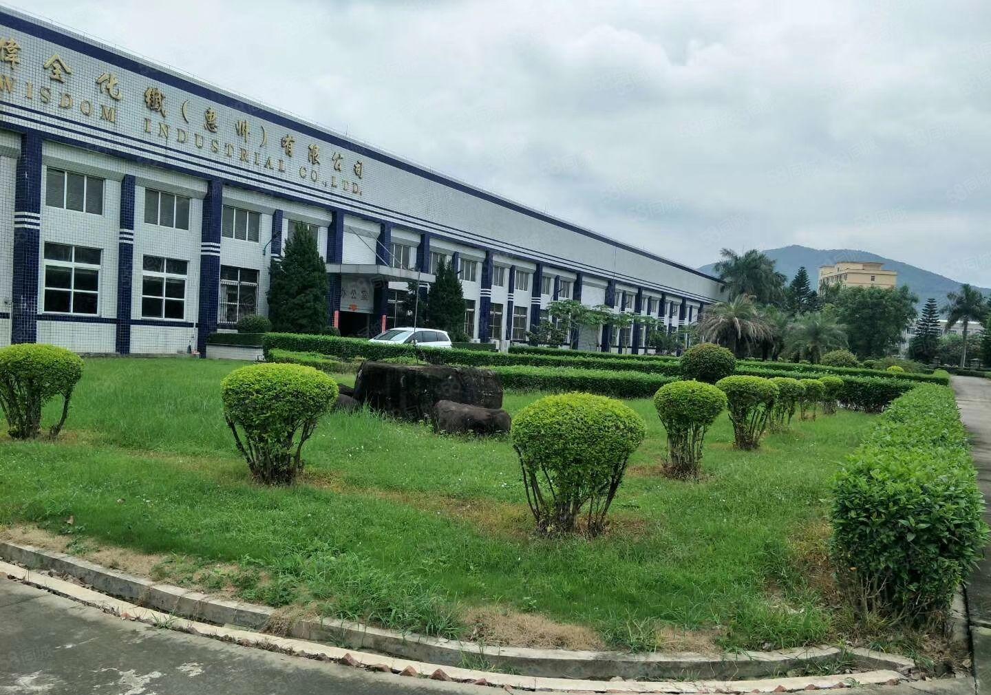 龙华镇独院红本钢构8000方，可分租，双证齐全周边无居民方正