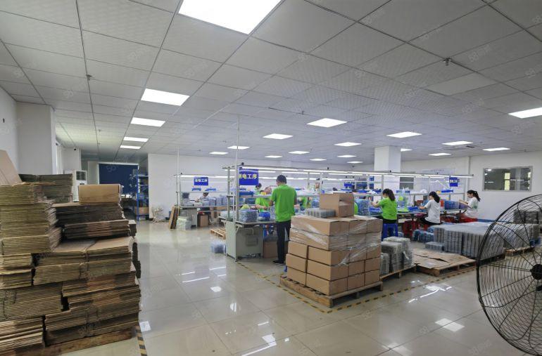 园洲本村老干部厂房6层，每层520平，只要8块钱，有电梯