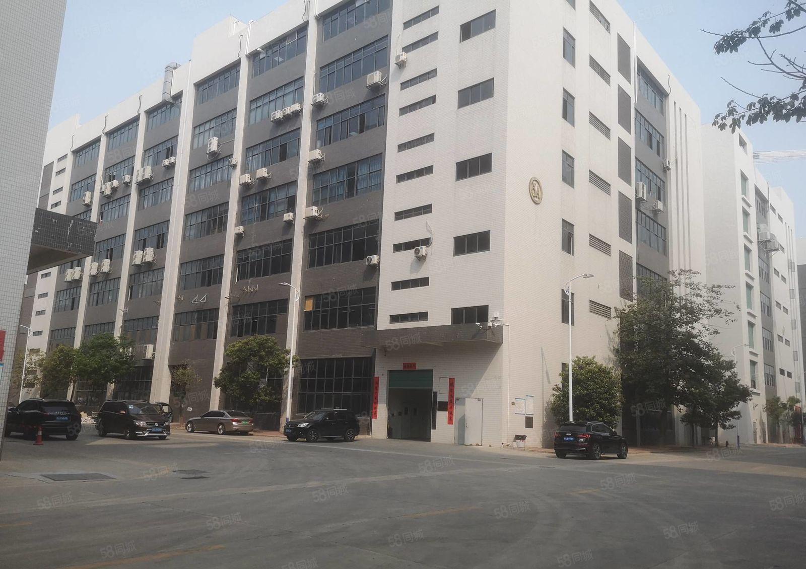 石湾镇 大型园区新出原房东楼上1000平厂房出租 带豪华装修