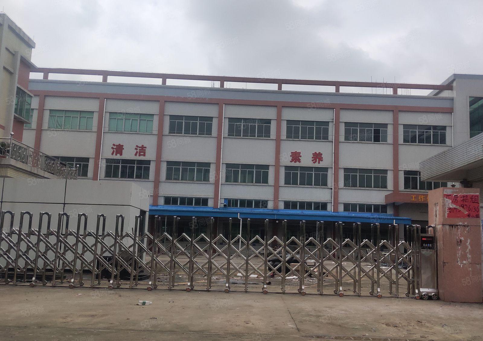 惠州市博罗县石湾镇科技园4800平方独户独门独院标准厂房出租