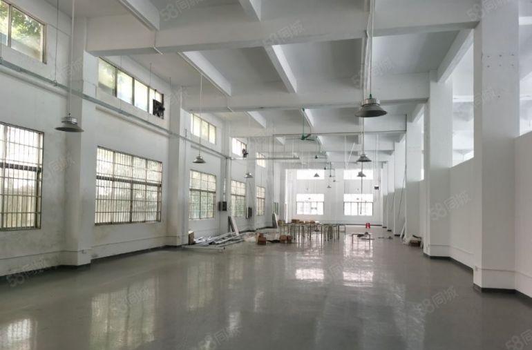 原房东！免租期三个月！博罗石湾镇原房东独院9200平低价出租