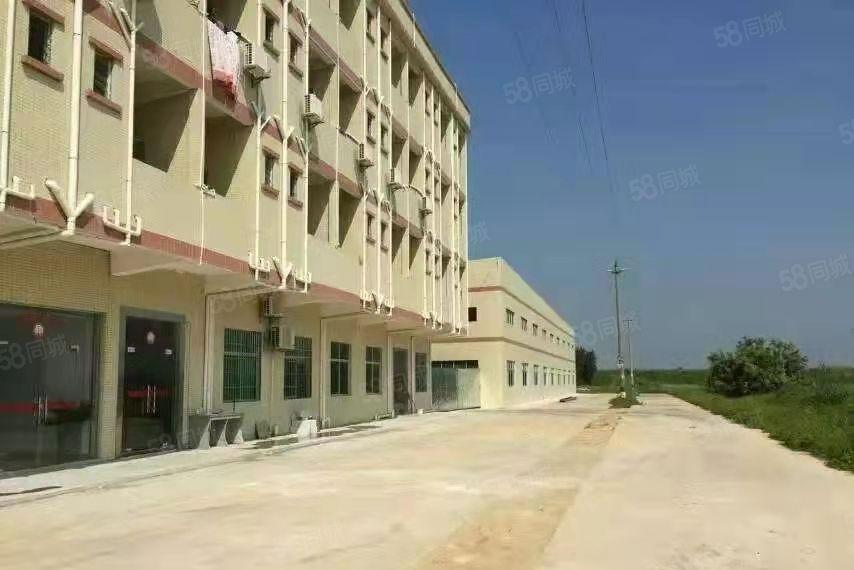 靓！钢构1000方，周边无民，格局方正，中间无柱子超实用