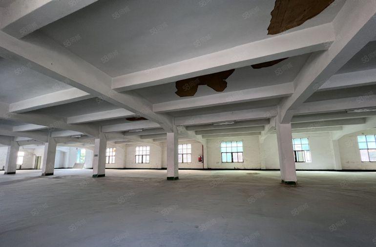 博罗石湾低价原房东独门独院厂房3000平出租形象好易招工免佣