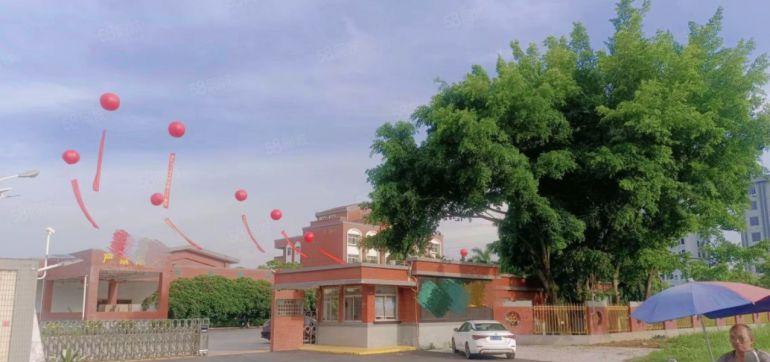 石湾镇水性化工工业园出租证件齐全500起租形象好博罗厂房出租