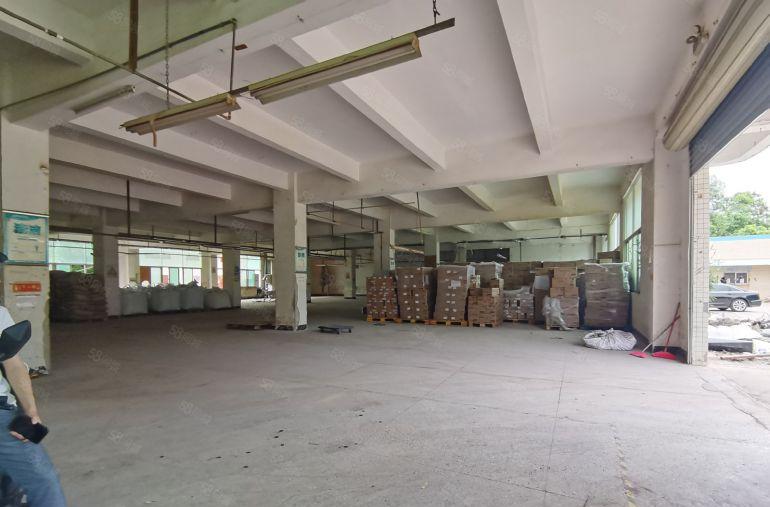 园洲禾山工业区附近带宿舍独院原房东红本厂房出租可分租空地大