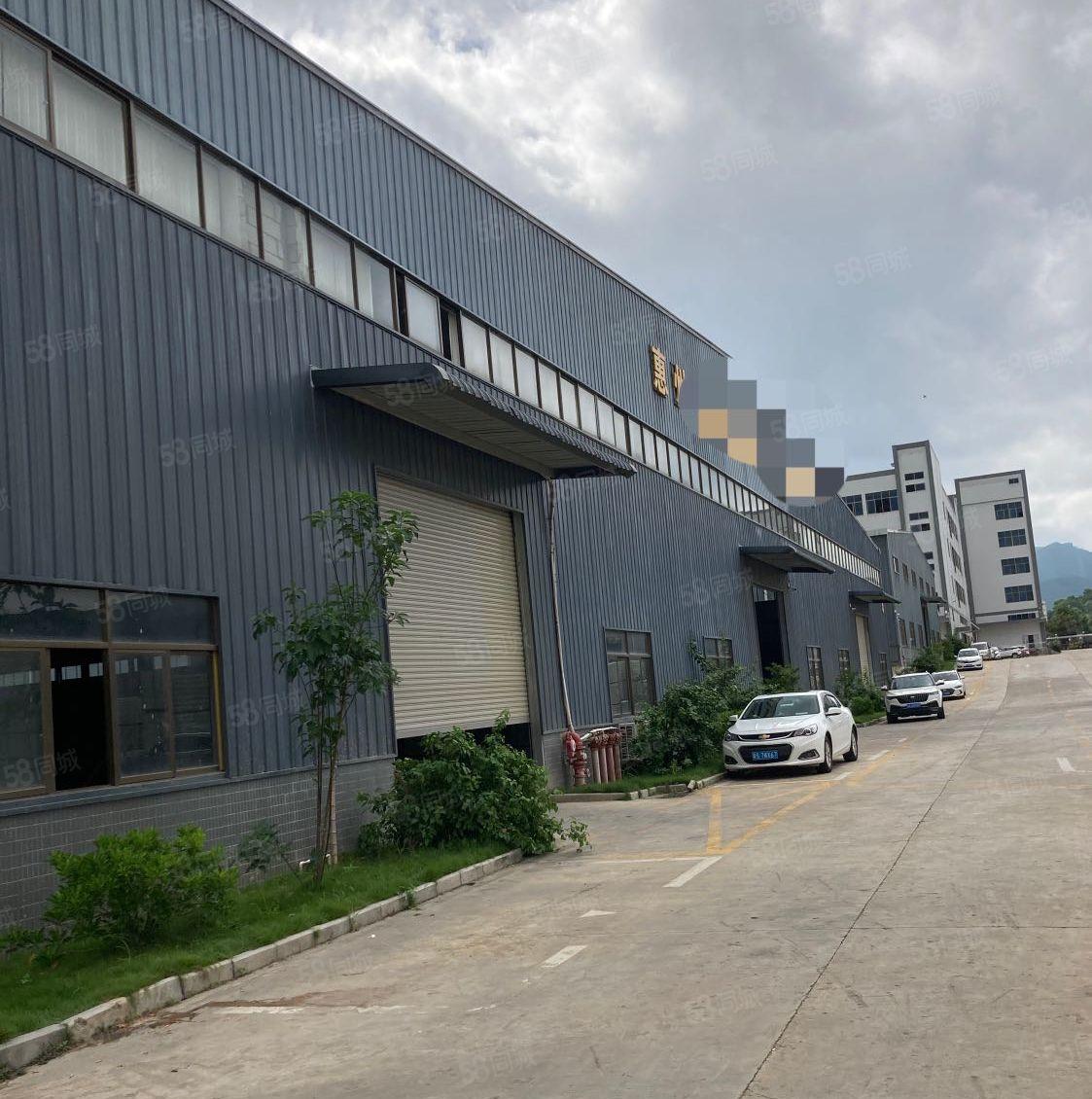 园洲钢结构单一层厂房出租厂房面积8500