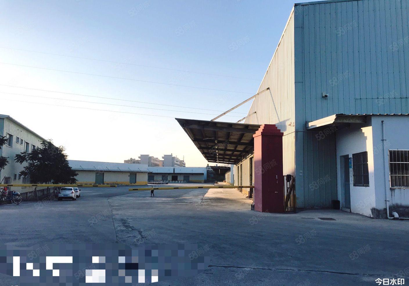 博罗新出单一层厂房招租