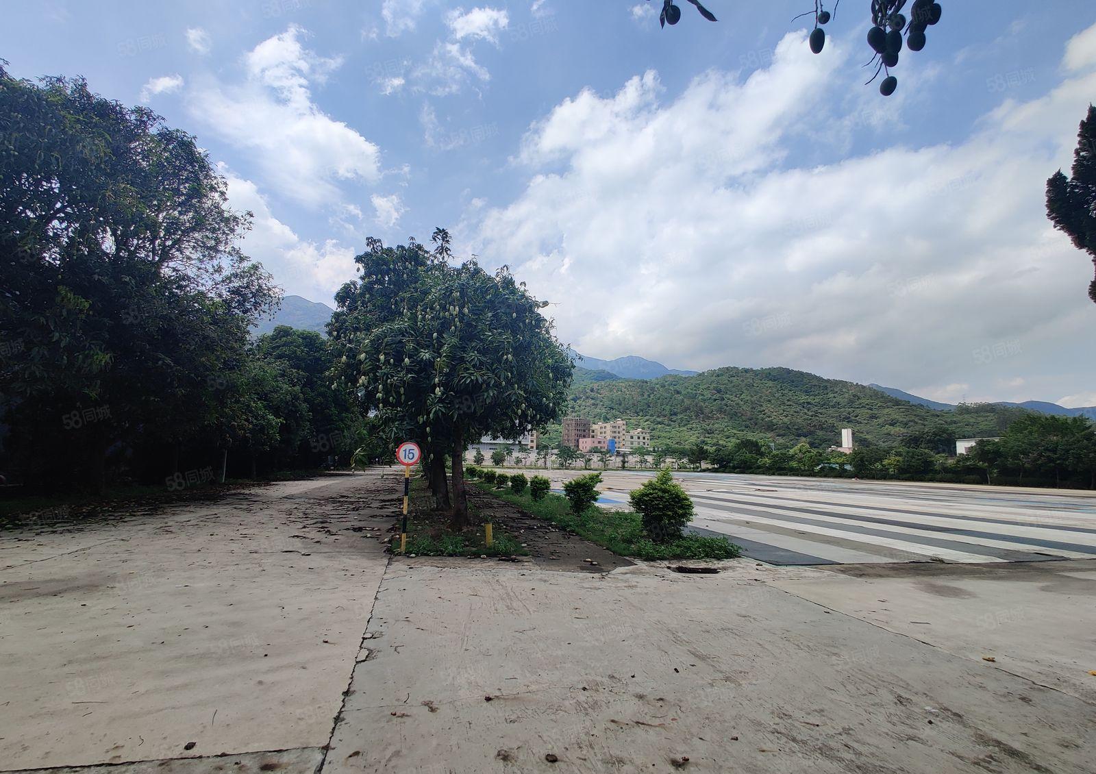 10元博罗龙溪原房东大小分租4万平单一层钢构厂房仓库一楼出租