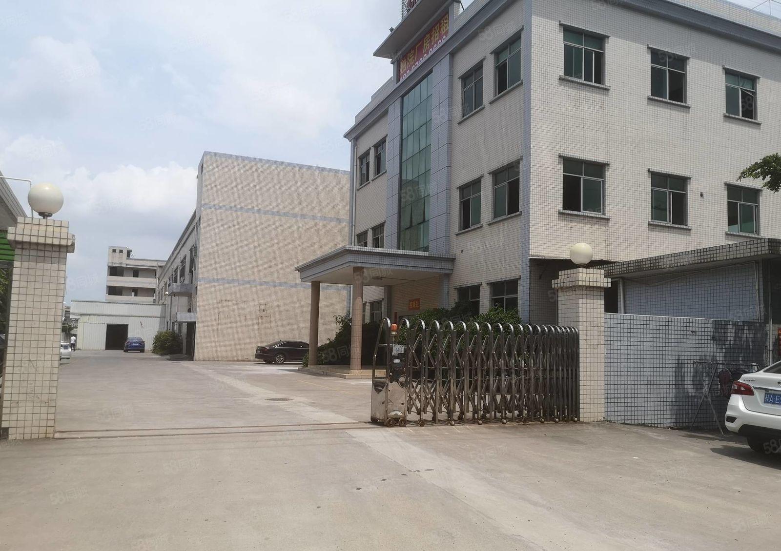 园洲主路边 原房东独院7000平厂房出租 带装修大小可分租