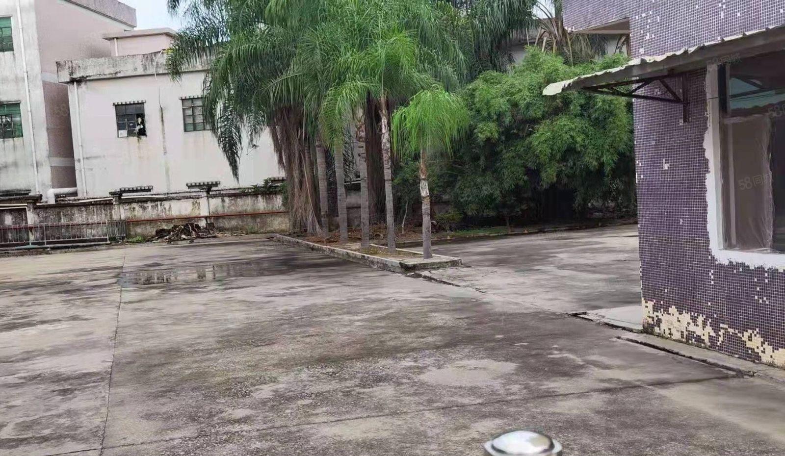 龙溪新出发财靓盘4500平出租