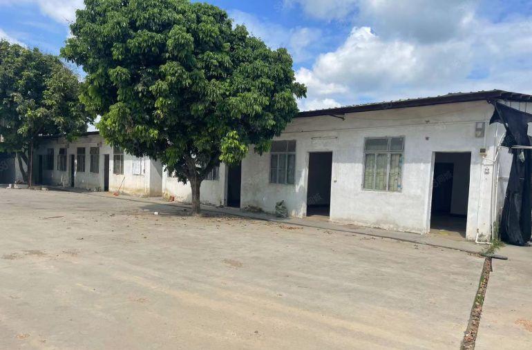 博罗龙溪独门独院厂房3000平方。空地超大，免费用。8元可谈