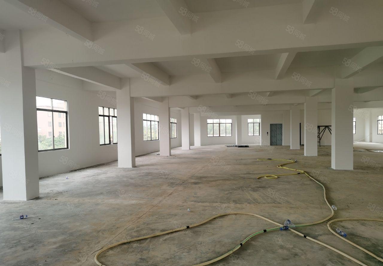 博罗标准楼房厂房招租