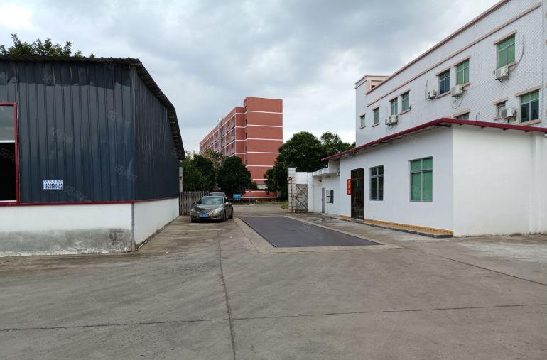 园洲镇独院单一层钢构空地大证件齐滴水9米国道边可办环评