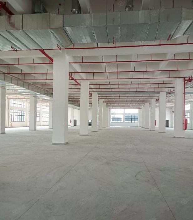 石湾镇标准厂房出租6400平方共4层价格便宜容易招工