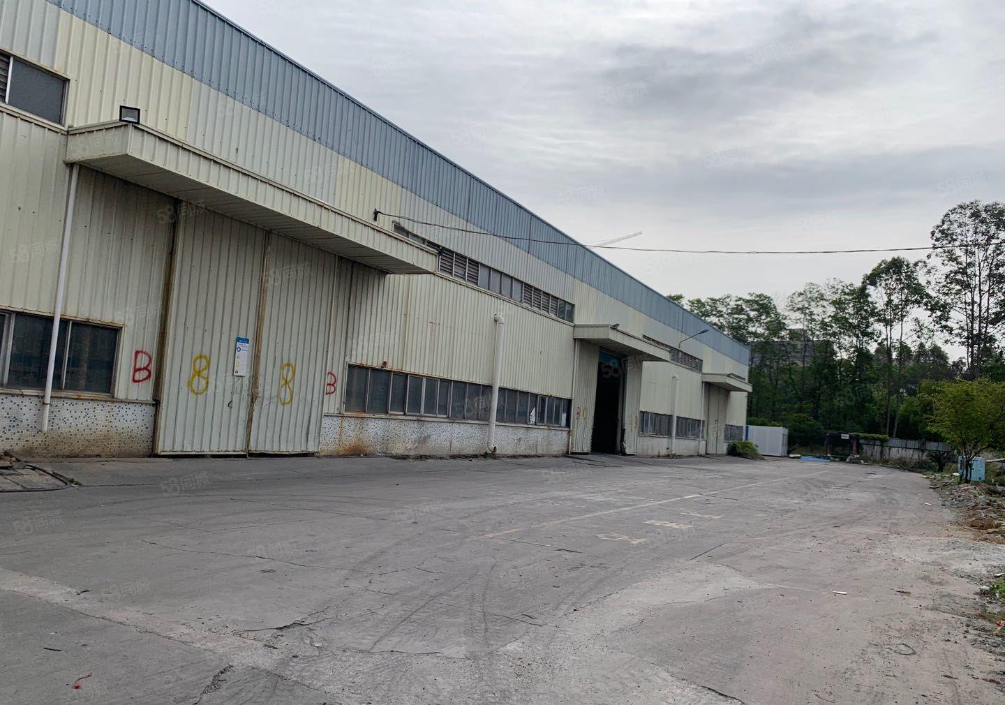 滴水10米1000平方起博罗一手资源纯钢构厂房原房东红本在手
