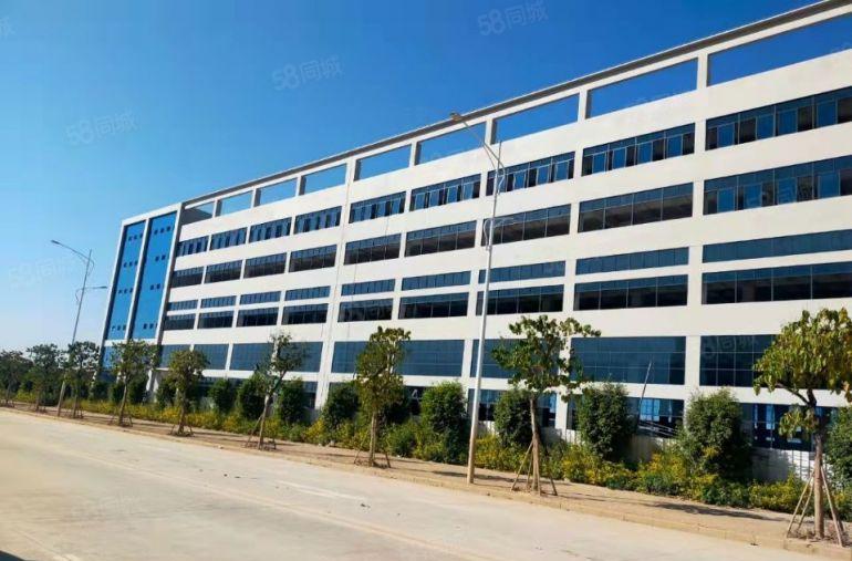 博罗县石湾镇全新重工业花园式标准独院厂房出租5万多方可分租一