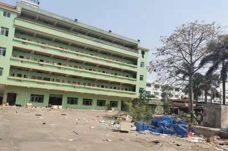 园洲镇花园式独院标准厂房