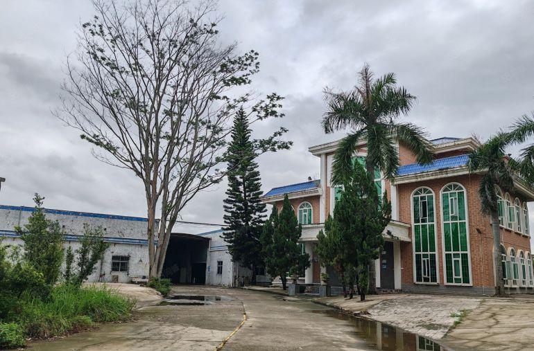 博罗龙溪工业园8000平独门独院单一层钢构厂房低价出租可分租