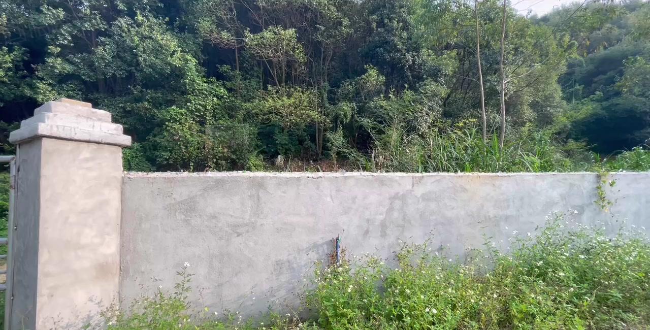 石湾镇新出山脚下周边无居民交通方便原房东独院单一层1600